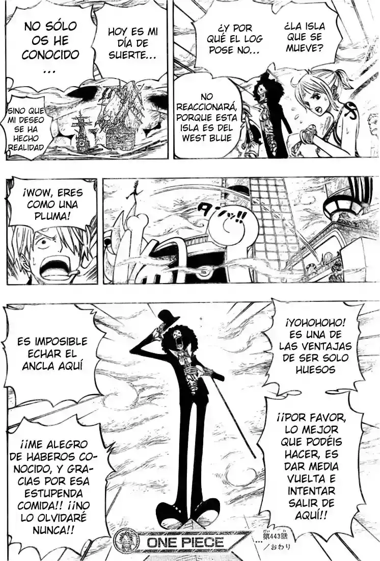 One Piece Capítulo 443 - Página 17 en español