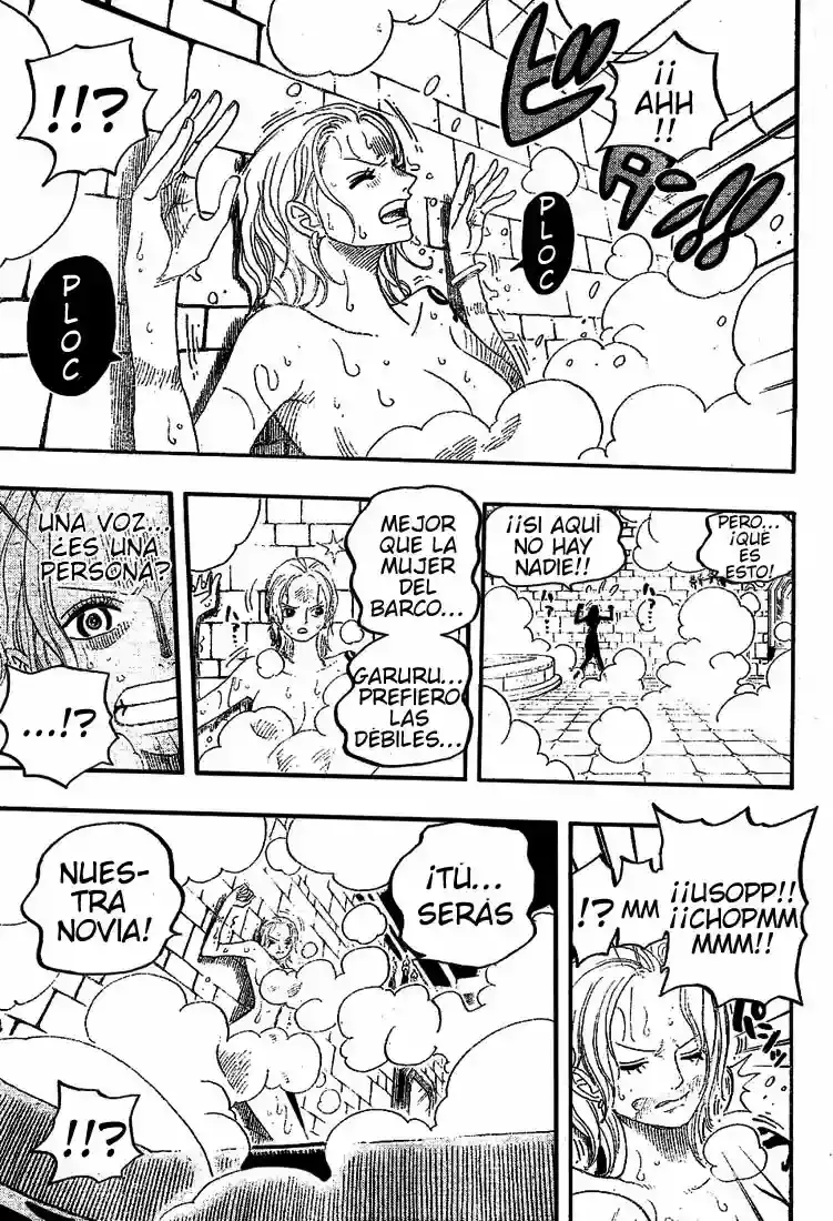 One Piece Capítulo 446 - Página 14 en español