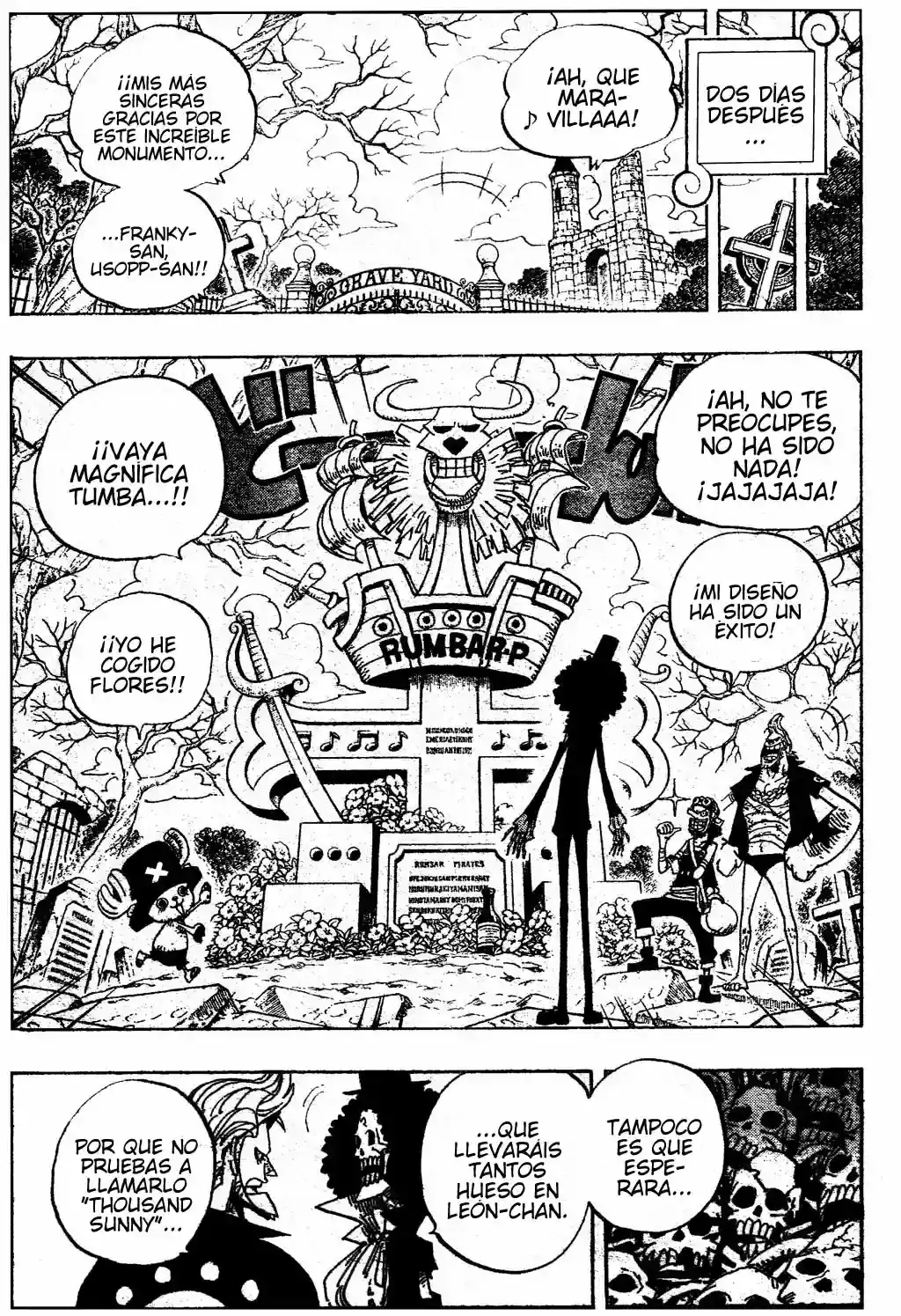 One Piece Capítulo 489 - Página 10 en español