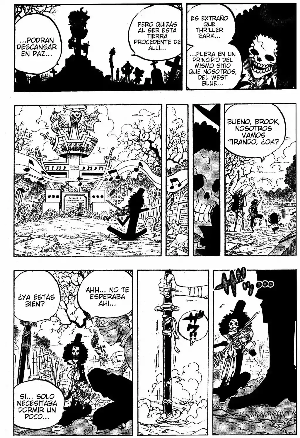 One Piece Capítulo 489 - Página 11 en español