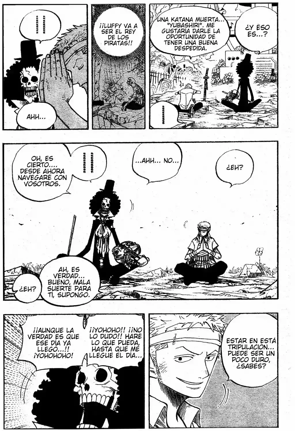 One Piece Capítulo 489 - Página 12 en español
