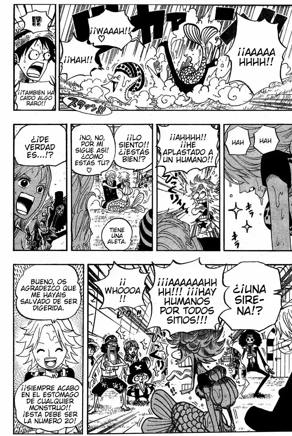 One Piece Capítulo 490 - Página 17 en español