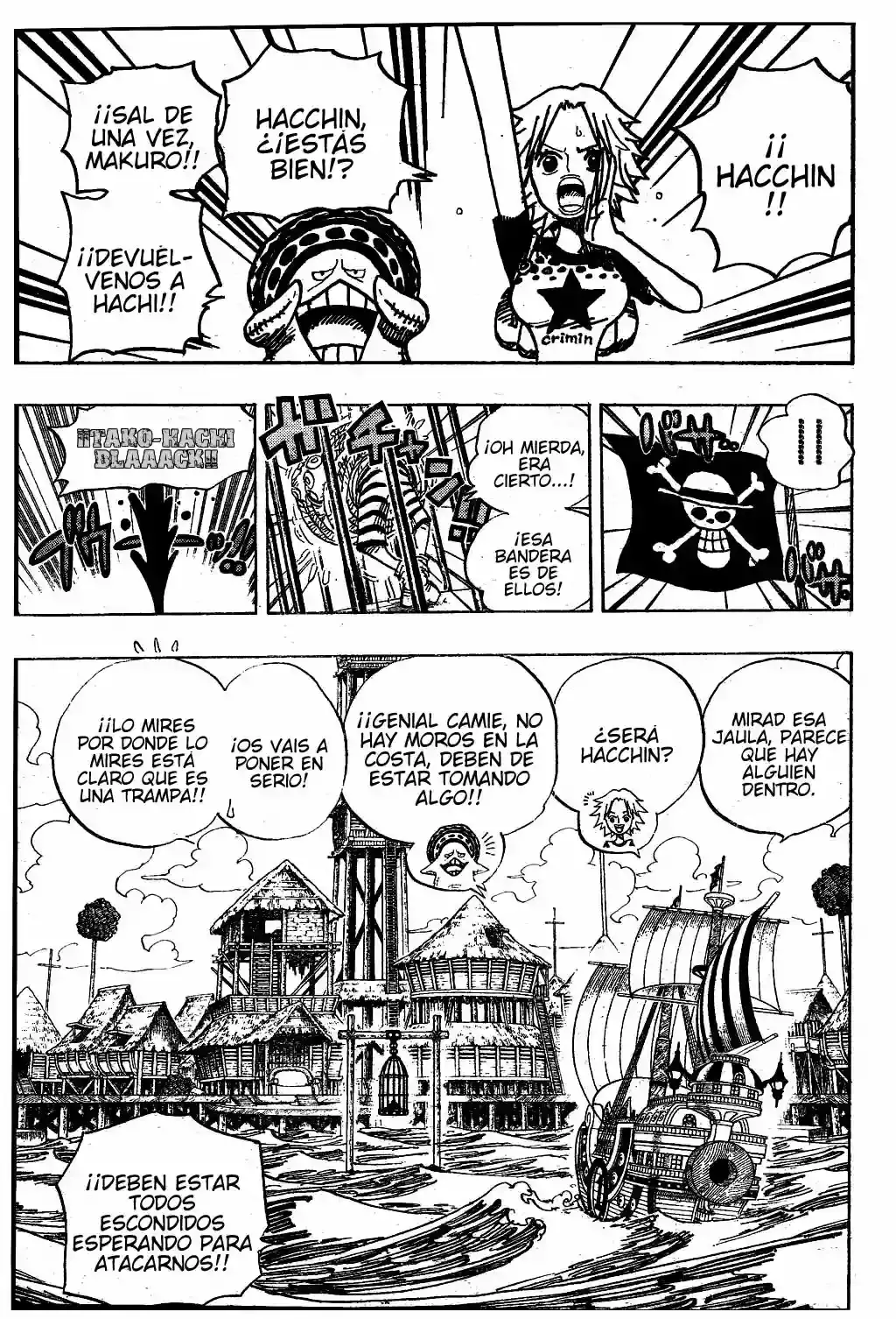 One Piece Capítulo 492 - Página 11 en español
