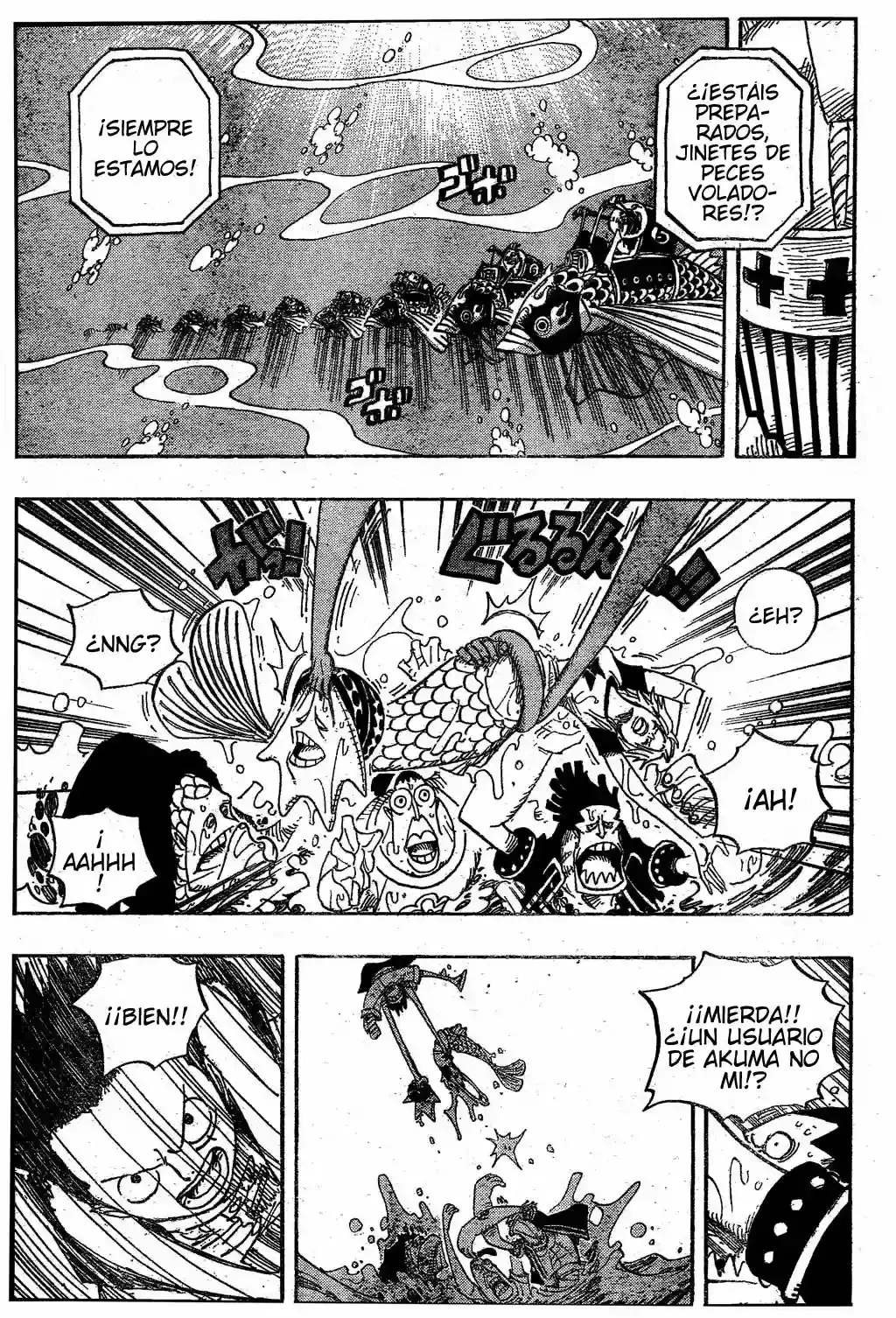 One Piece Capítulo 492 - Página 17 en español
