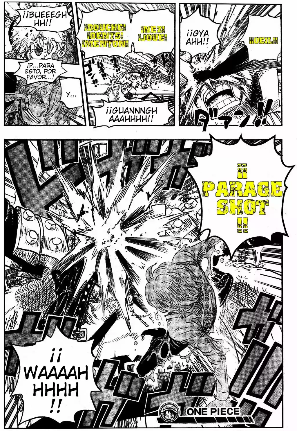 One Piece Capítulo 495 - Página 19 en español