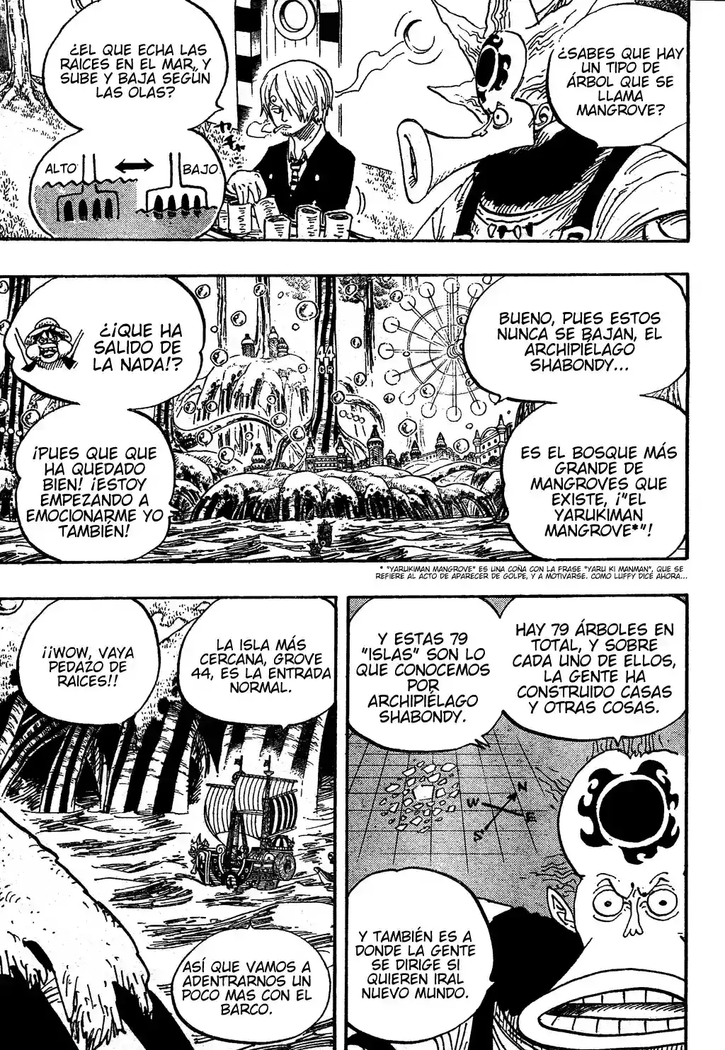 One Piece Capítulo 496 - Página 14 en español