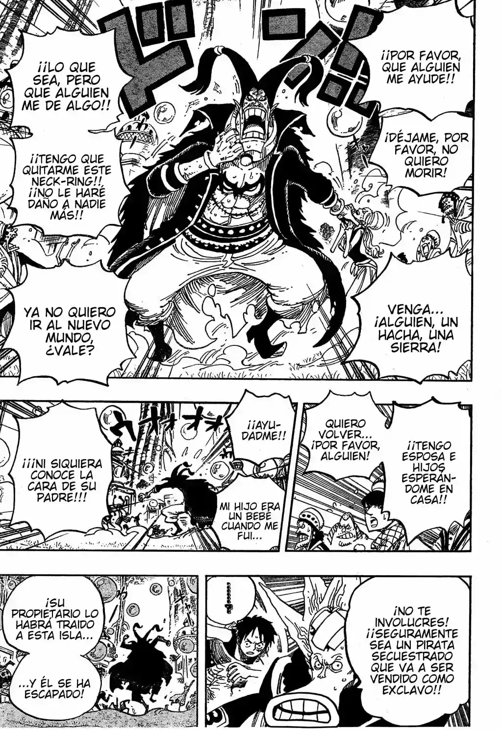 One Piece Capítulo 497 - Página 13 en español