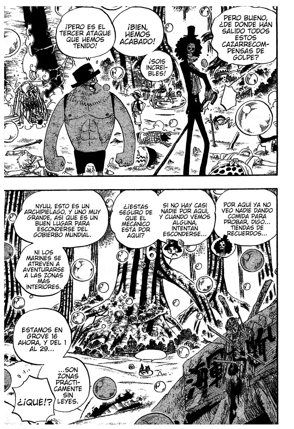 One Piece Capítulo 498 - Página 3 en español