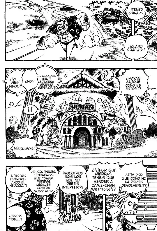 One Piece Capítulo 501 - Página 11 en español