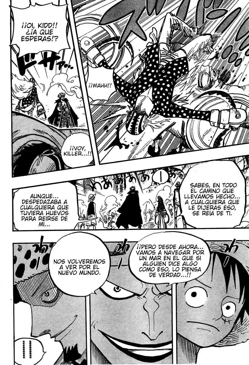 One Piece Capítulo 505 - Página 11 en español