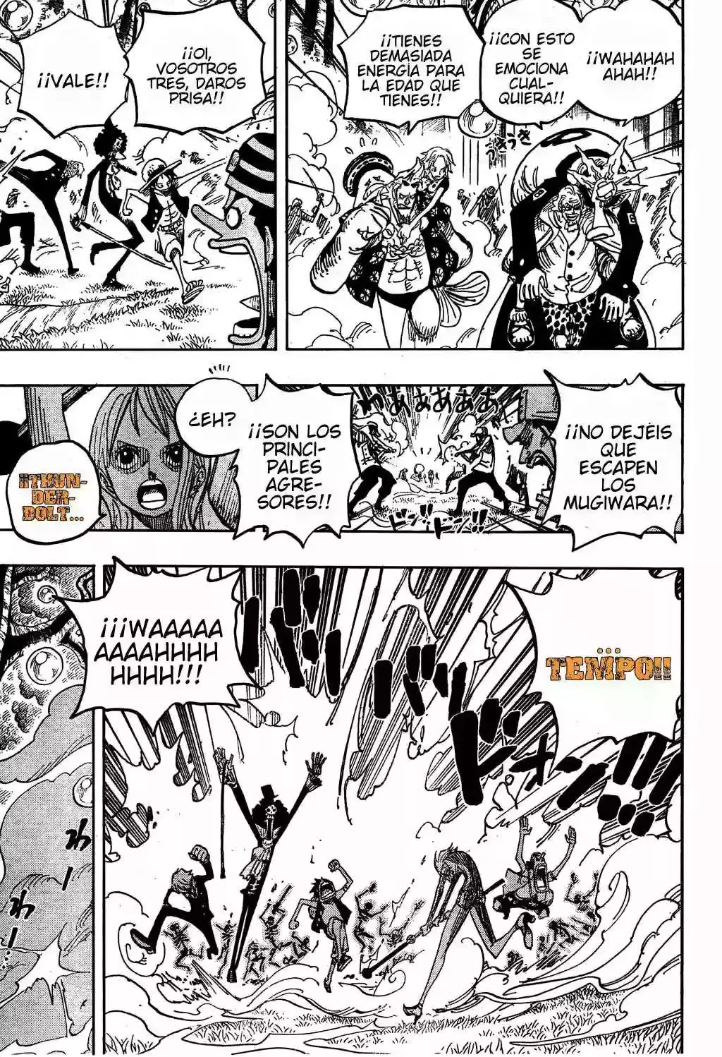 One Piece Capítulo 505 - Página 16 en español