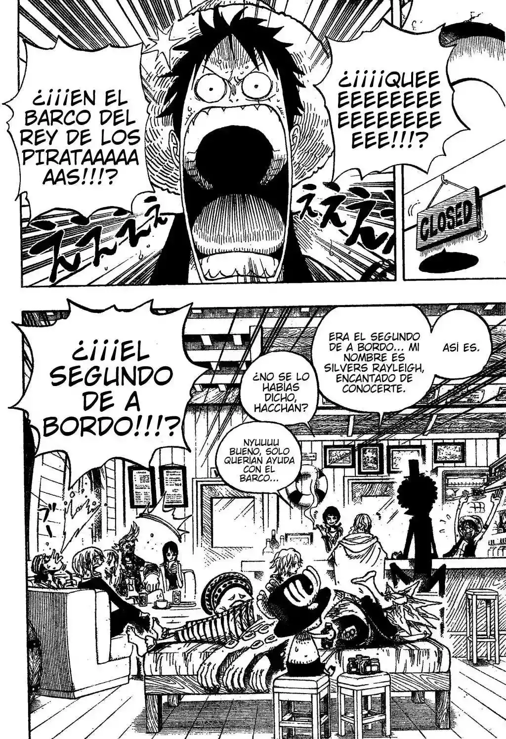 One Piece Capítulo 506 - Página 8 en español
