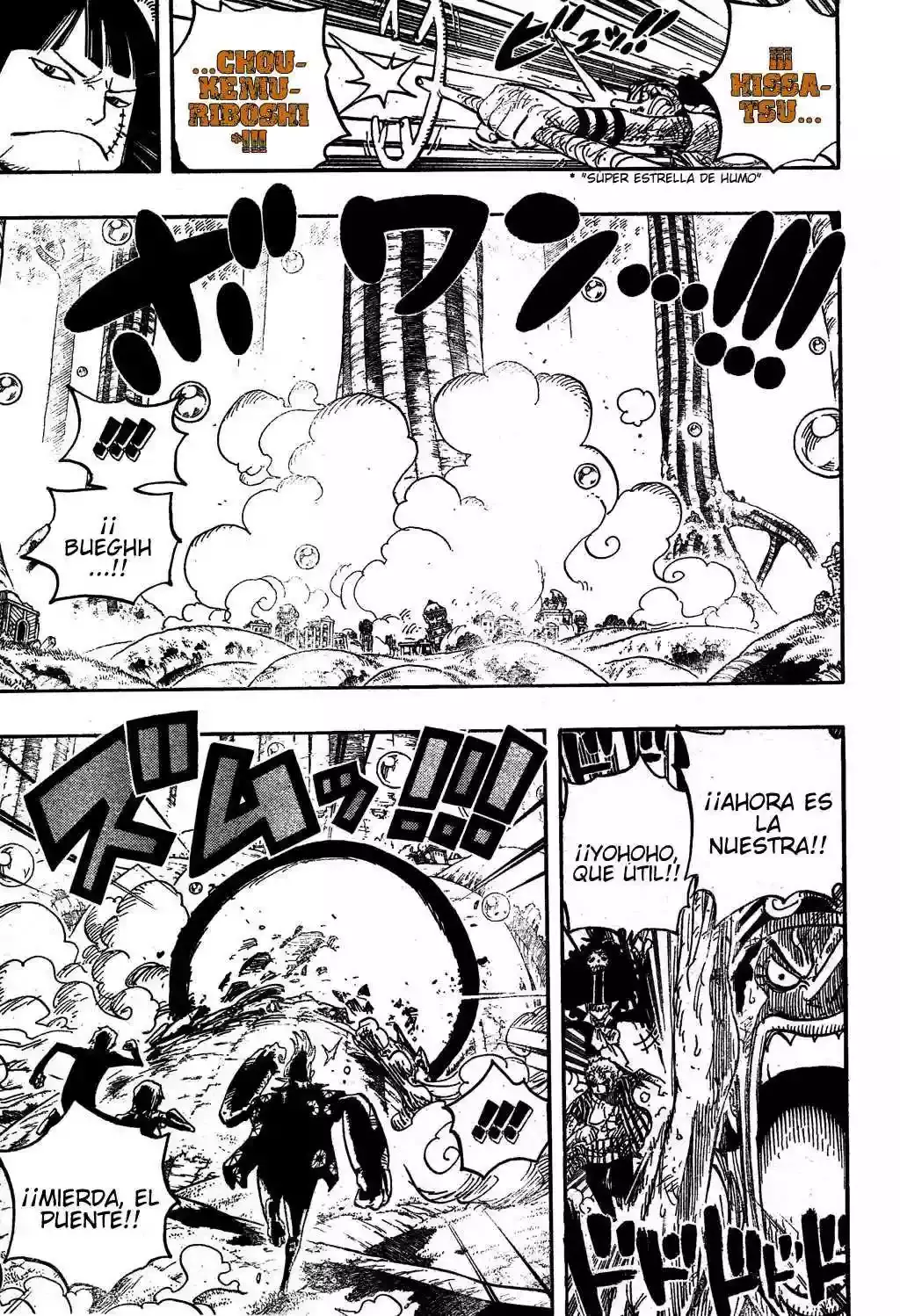 One Piece Capítulo 511 - Página 10 en español