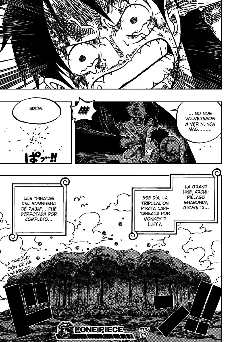 One Piece Capítulo 513 - Página 18 en español