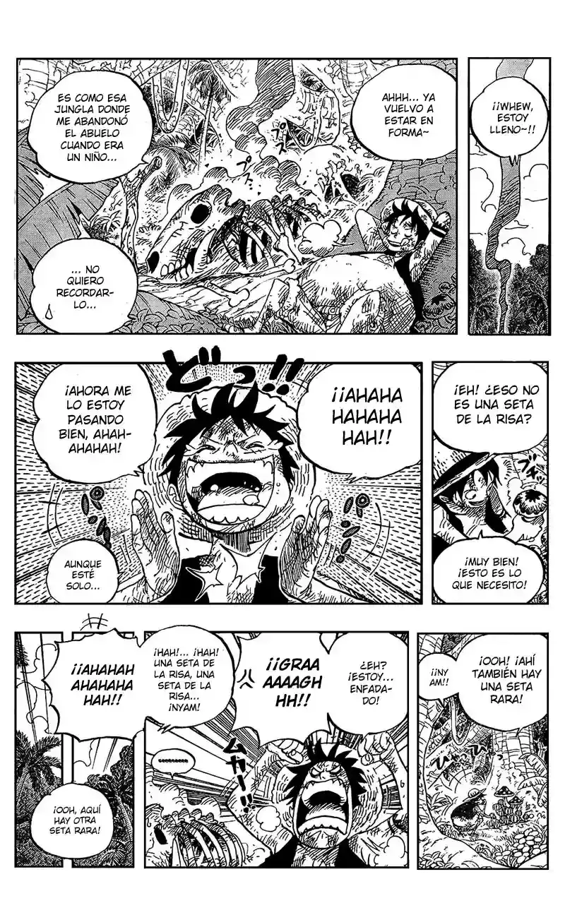 One Piece Capítulo 514 - Página 12 en español