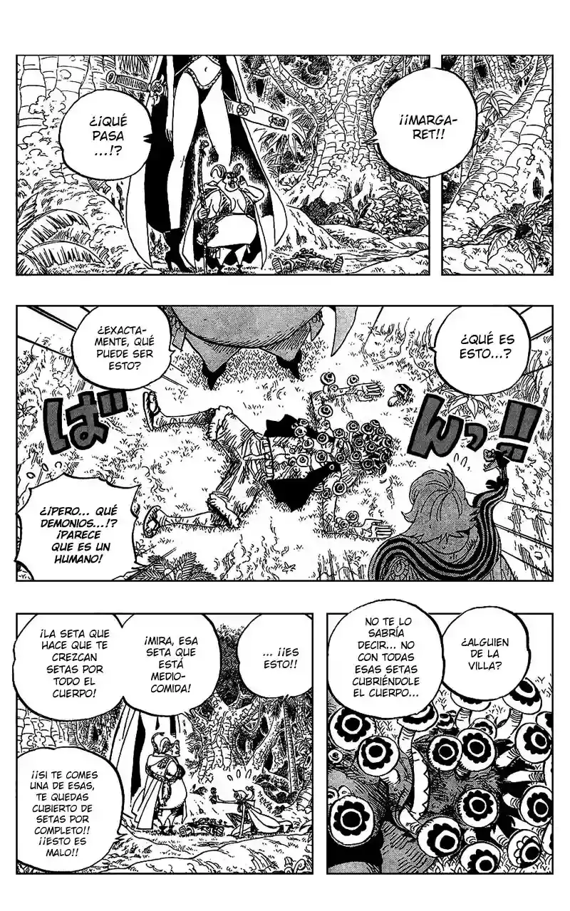 One Piece Capítulo 514 - Página 13 en español