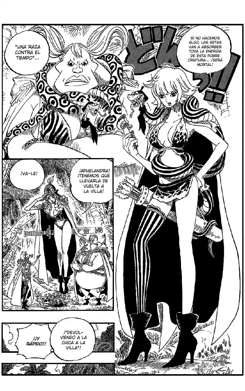 One Piece Capítulo 514 - Página 14 en español