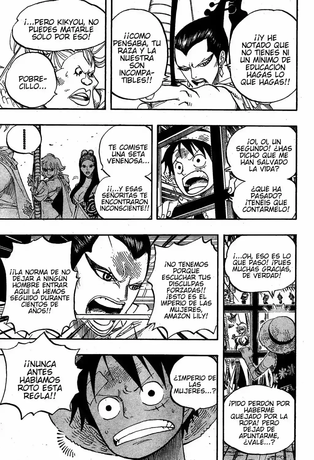 One Piece Capítulo 515 - Página 10 en español