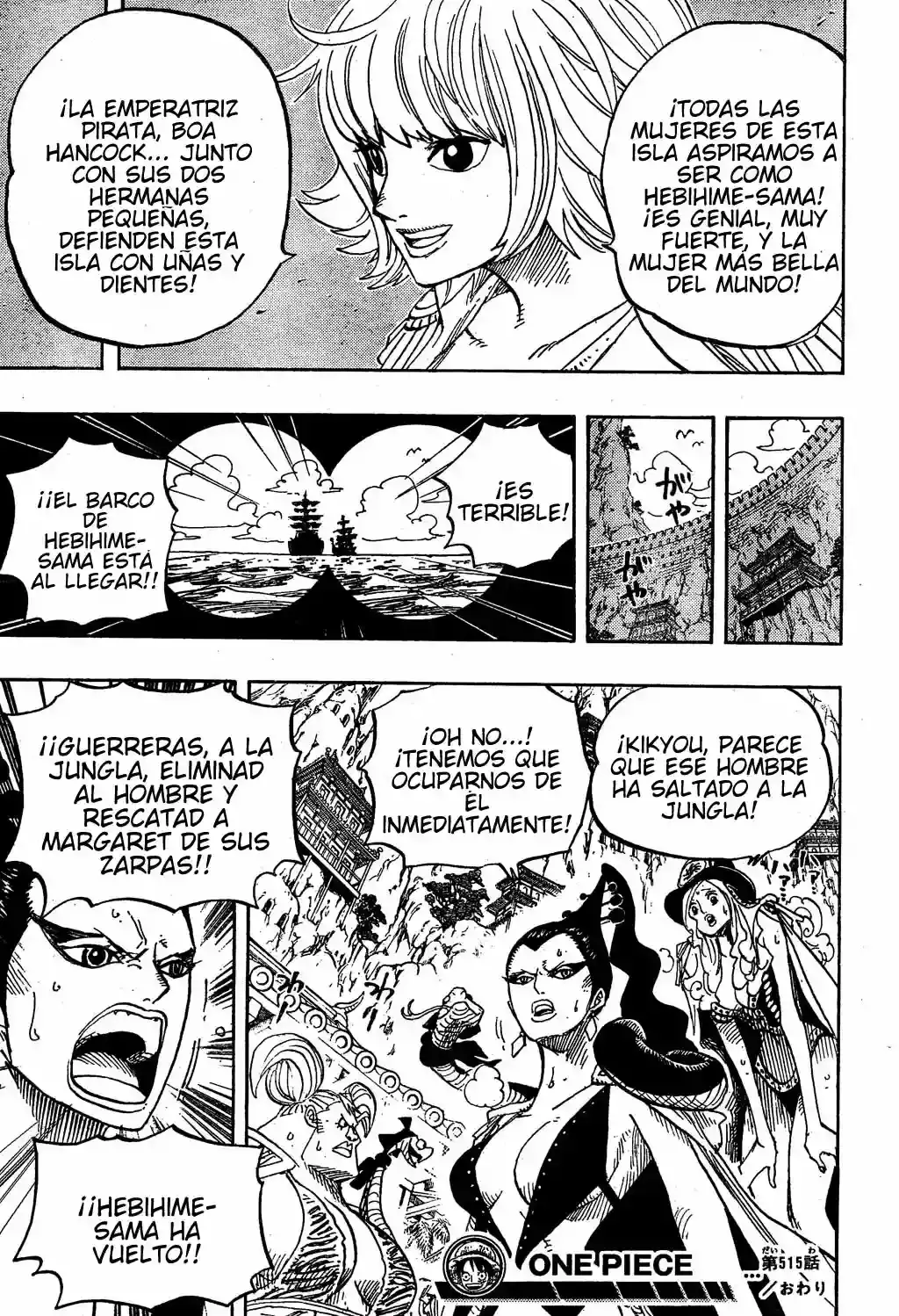 One Piece Capítulo 515 - Página 18 en español