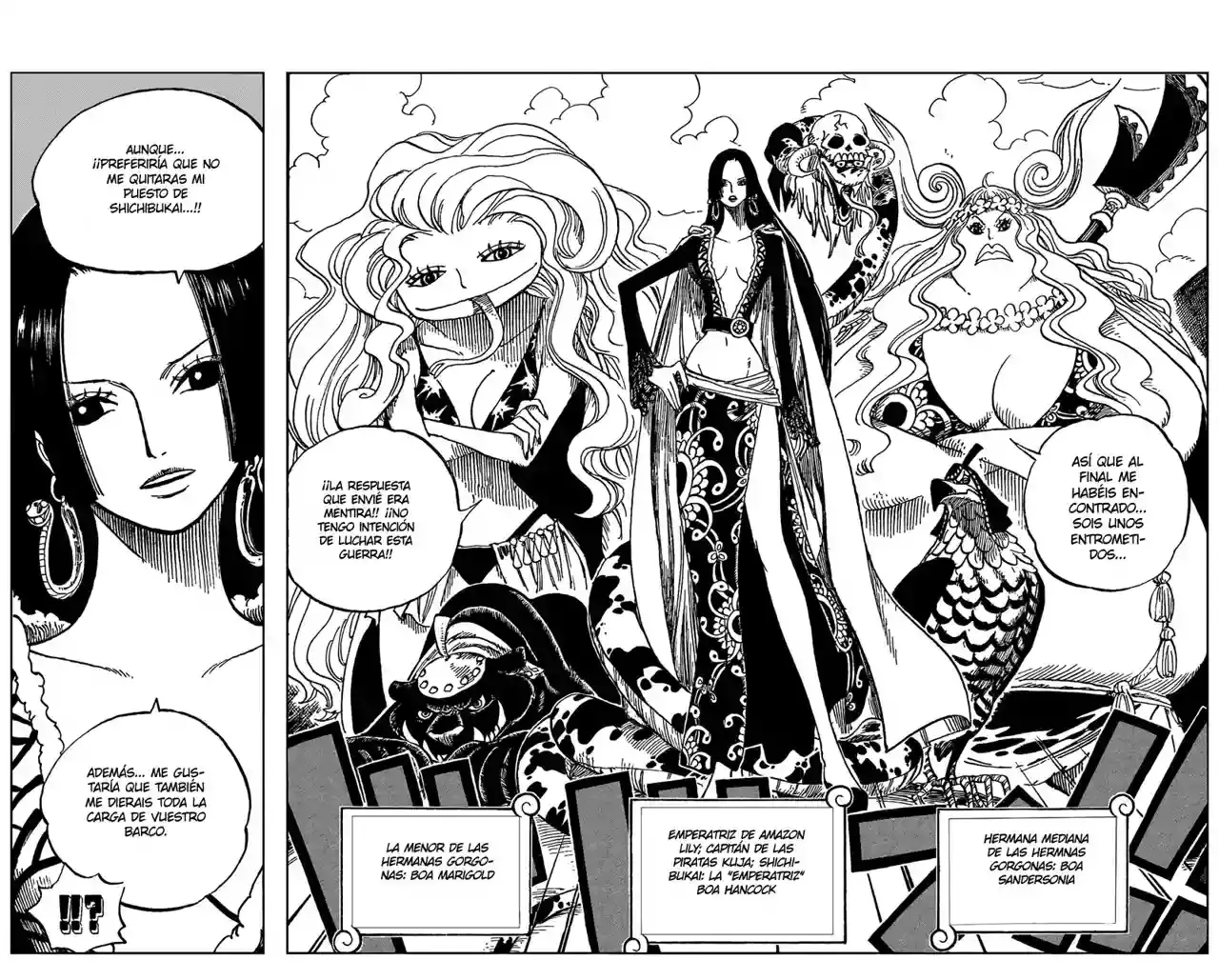 One Piece Capítulo 516 - Página 11 en español