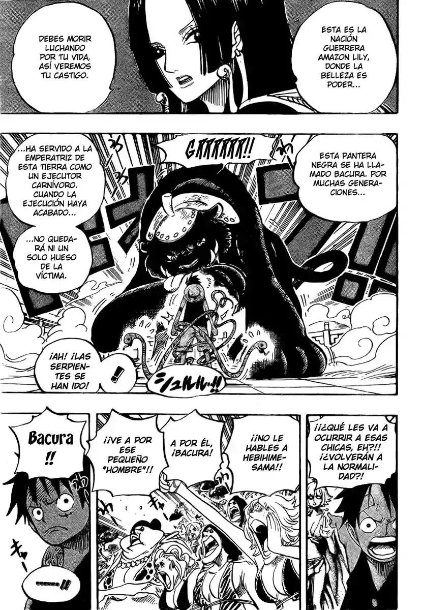 One Piece Capítulo 518 - Página 13 en español