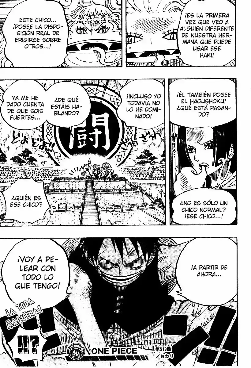 One Piece Capítulo 519 - Página 19 en español