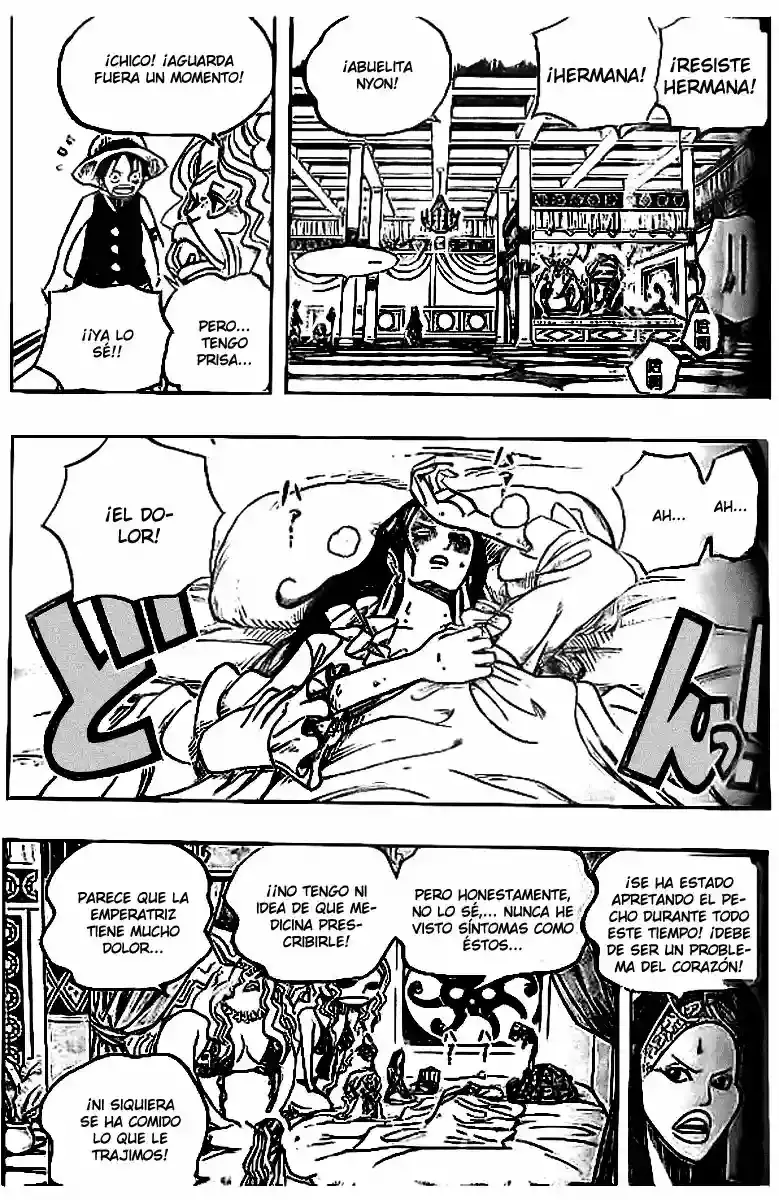 One Piece Capítulo 522 - Página 15 en español