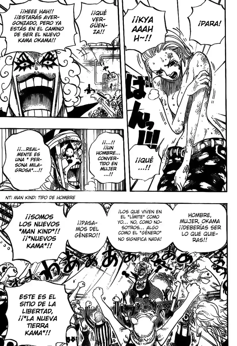 One Piece Capítulo 537 - Página 15 en español