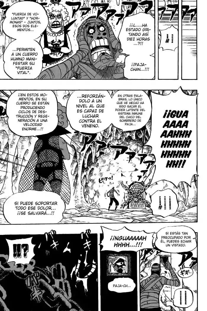 One Piece Capítulo 538 - Página 5 en español