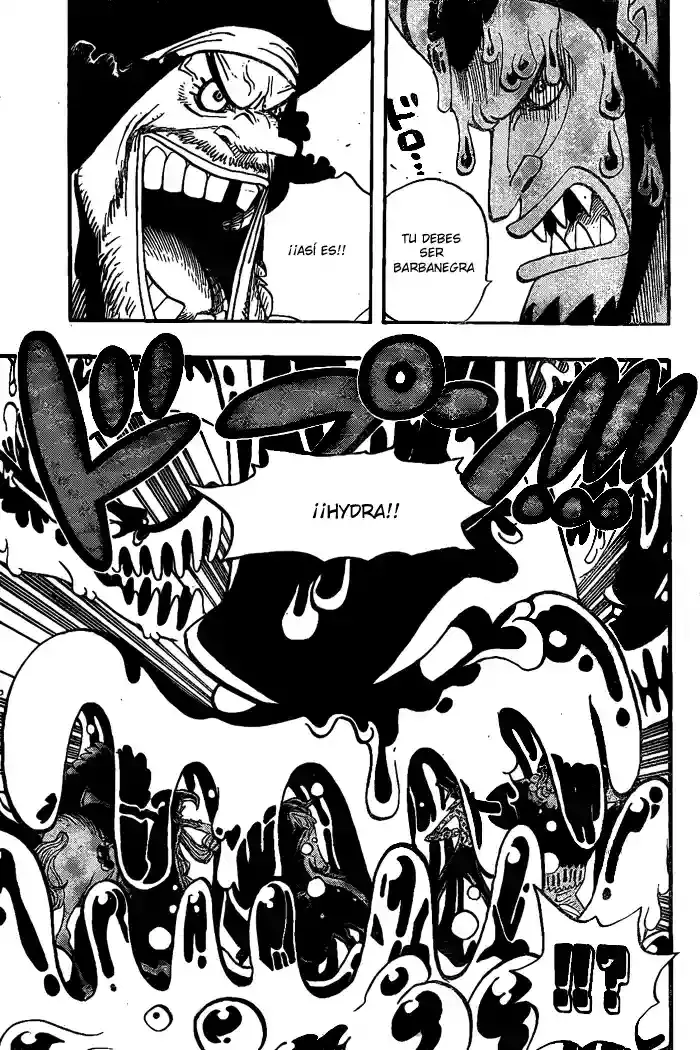 One Piece Capítulo 544 - Página 17 en español