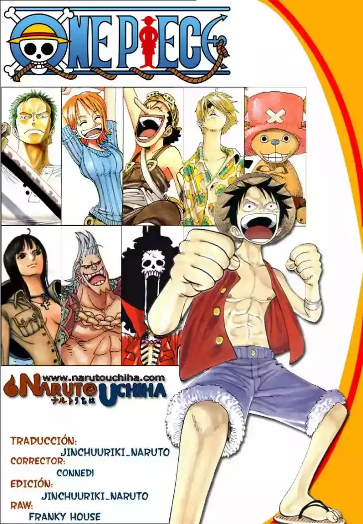 One Piece Capítulo 545 - Página 18 en español