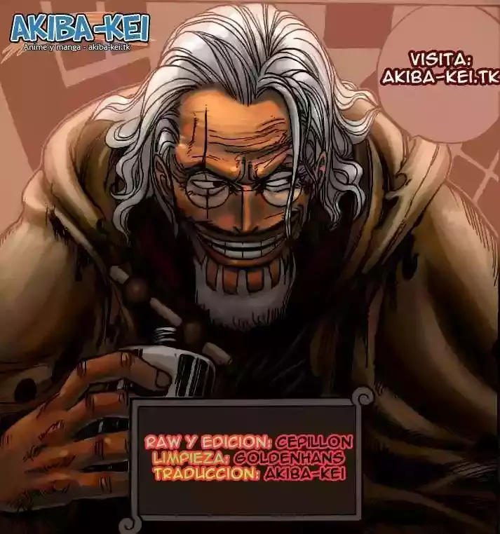 One Piece Capítulo 556 - Página 13 en español