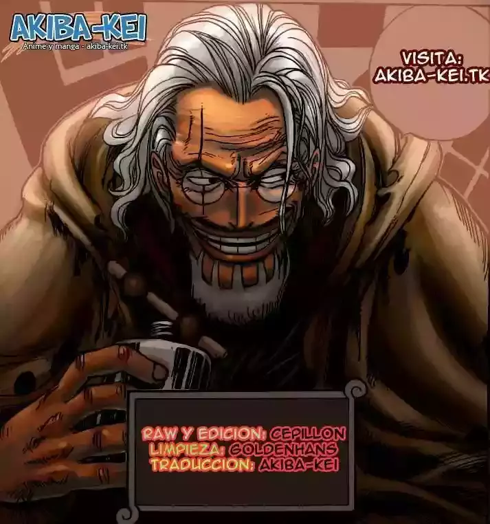 One Piece Capítulo 557 - Página 15 en español