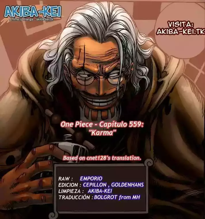 One Piece Capítulo 559 - Página 16 en español