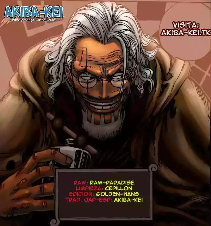 One Piece Capítulo 566 - Página 15 en español