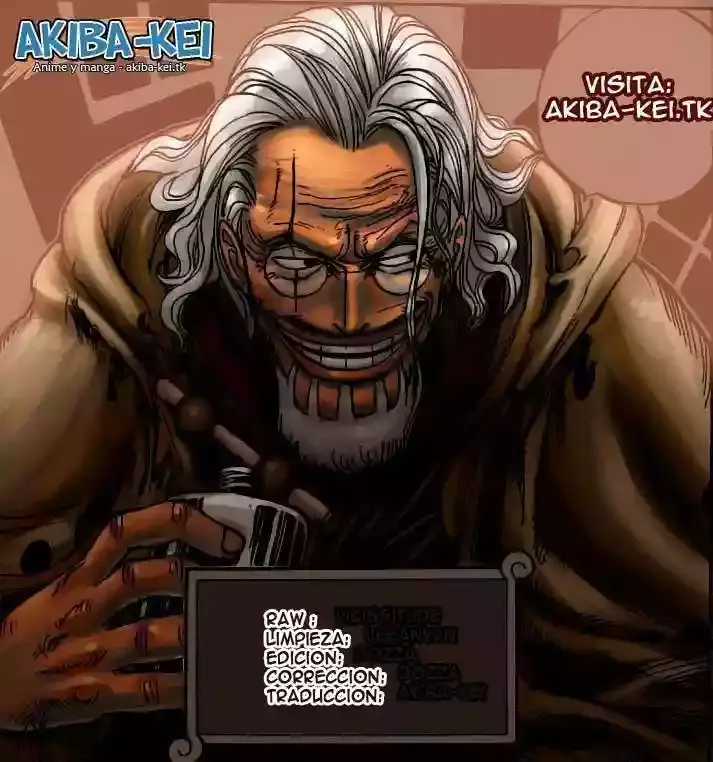 One Piece Capítulo 576 - Página 14 en español