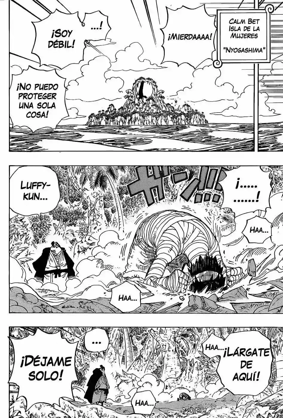 One Piece Capítulo 590 - Página 11 en español