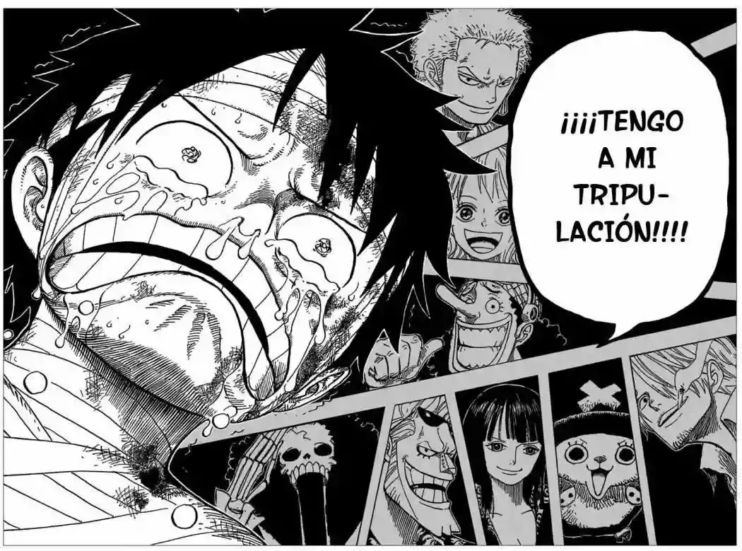 One Piece Capítulo 590 - Página 17 en español