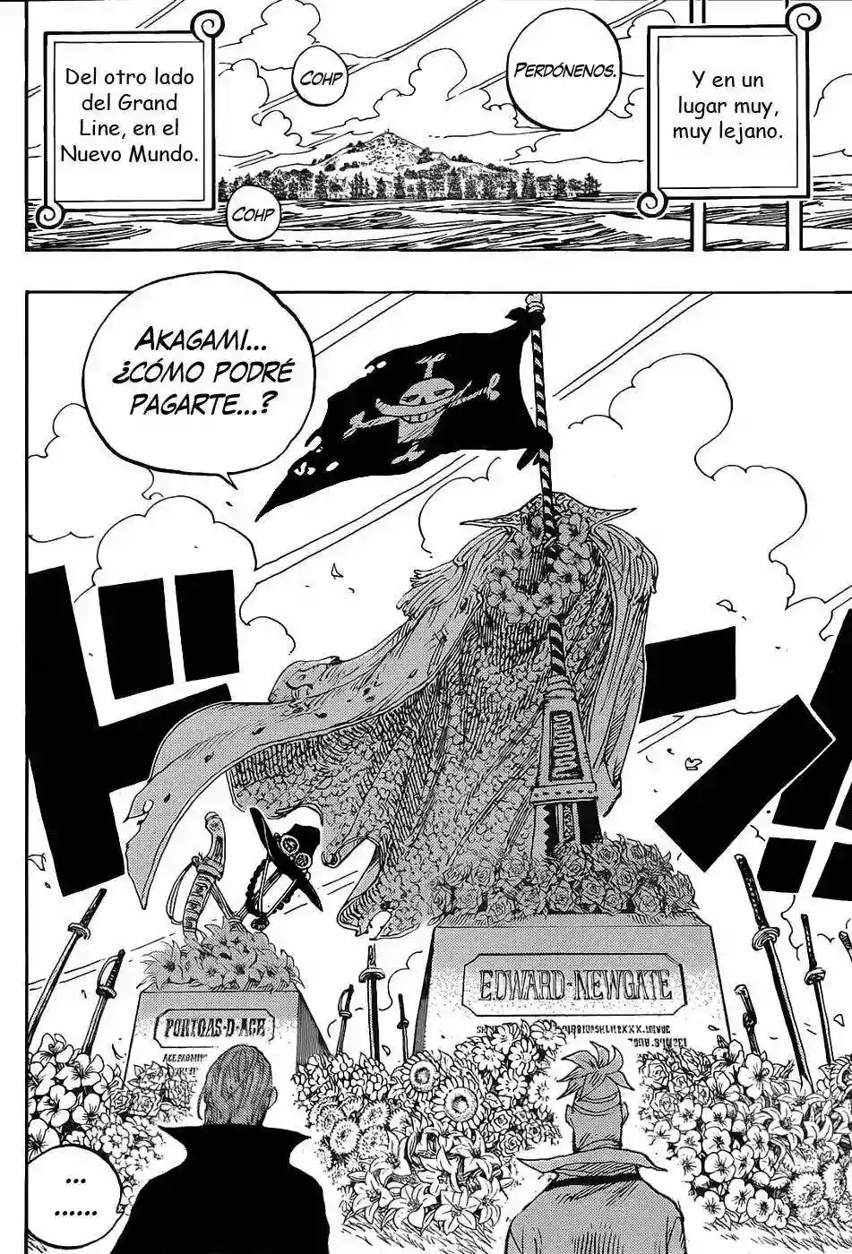 One Piece Capítulo 590 - Página 9 en español