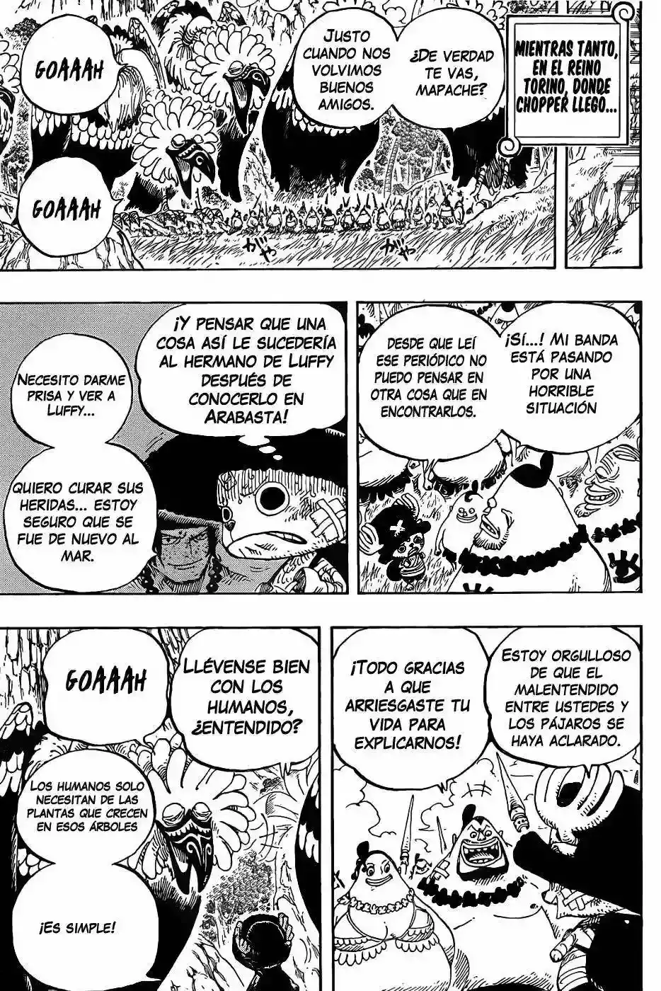One Piece Capítulo 591 - Página 18 en español
