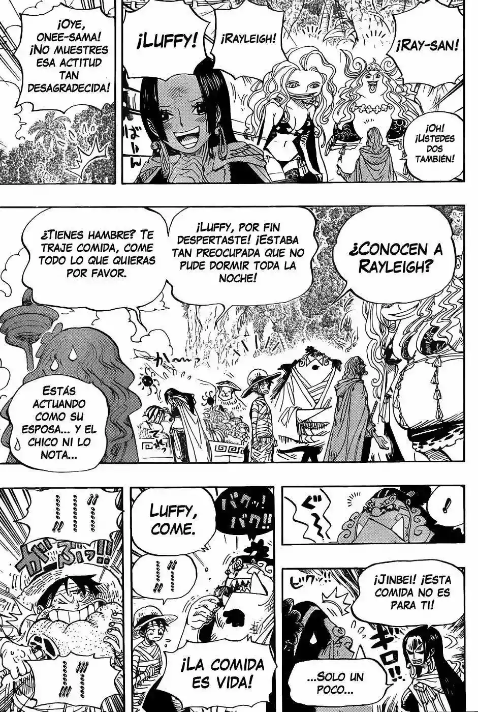 One Piece Capítulo 591 - Página 8 en español