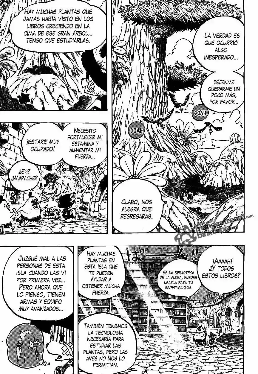 One Piece Capítulo 595 - Página 12 en español