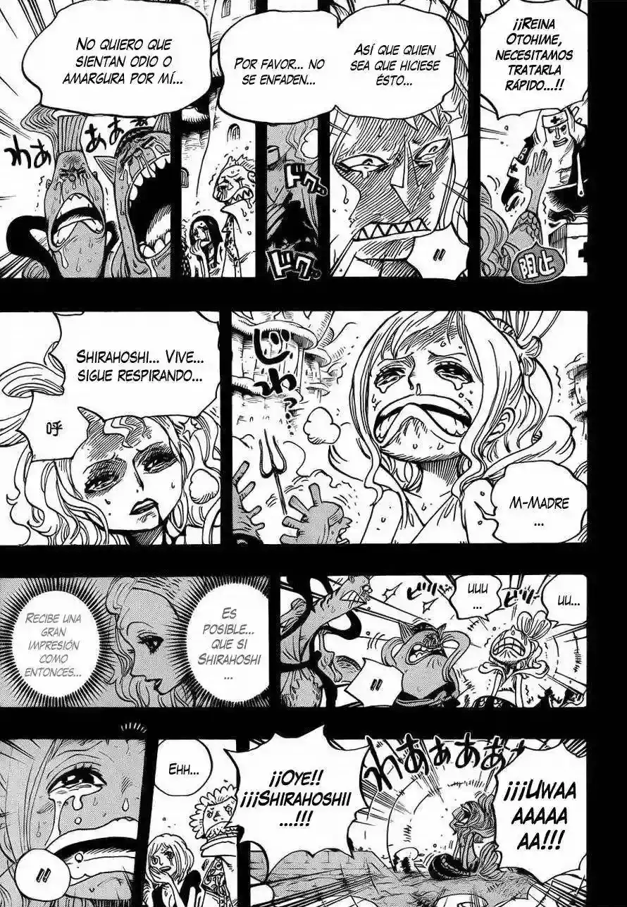 One Piece Capítulo 626 - Página 18 en español