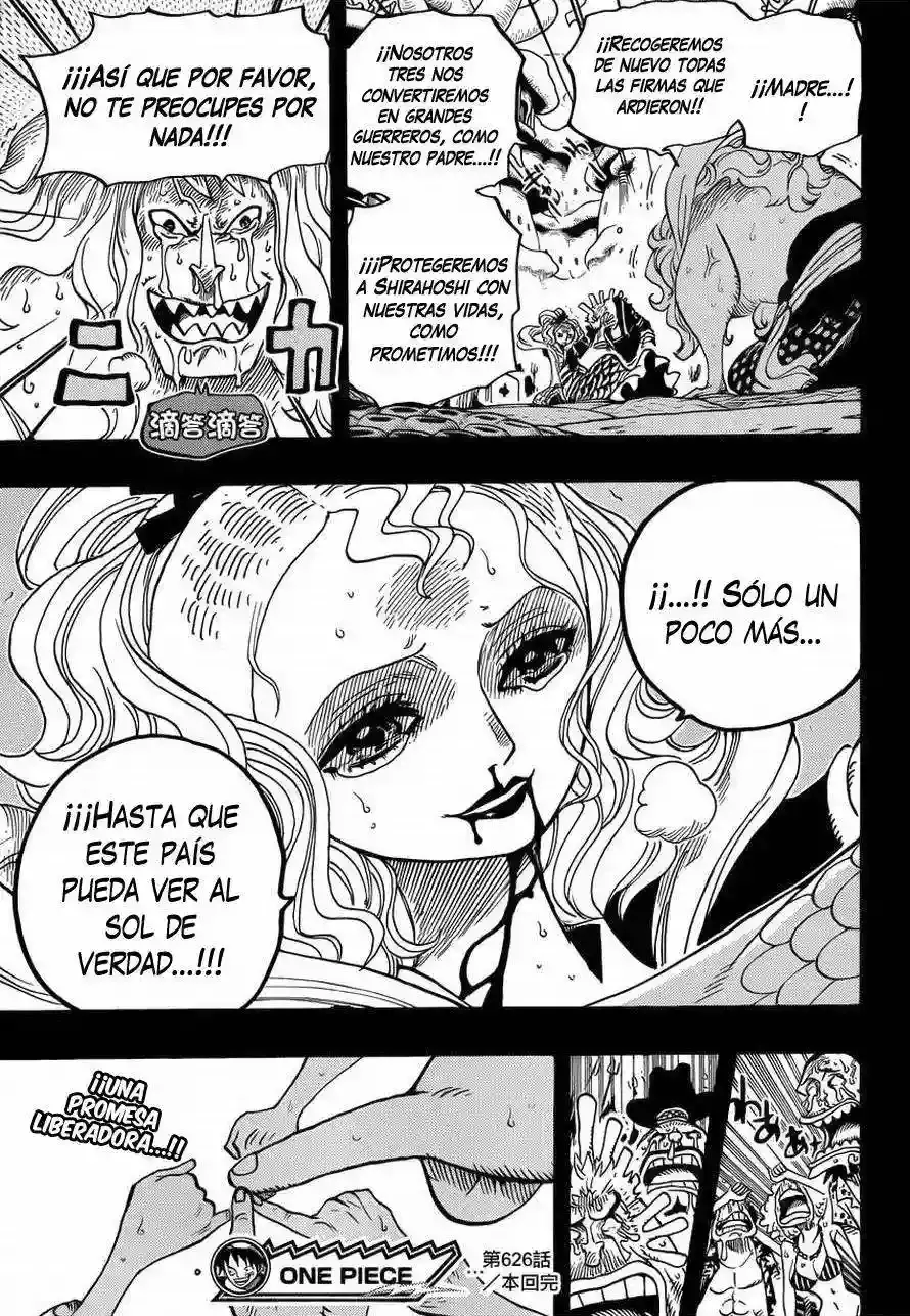 One Piece Capítulo 626 - Página 20 en español