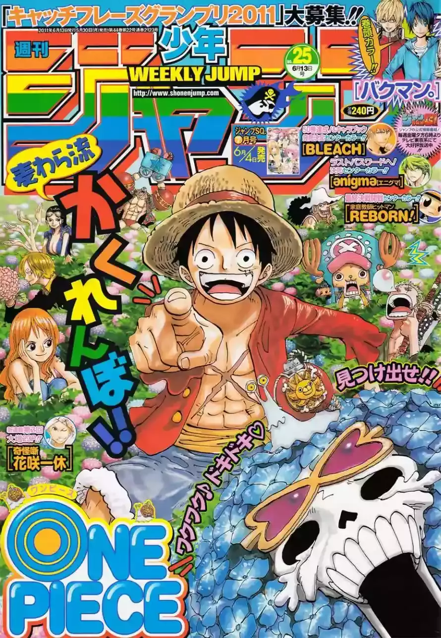 One Piece Capítulo 626 - Página 21 en español