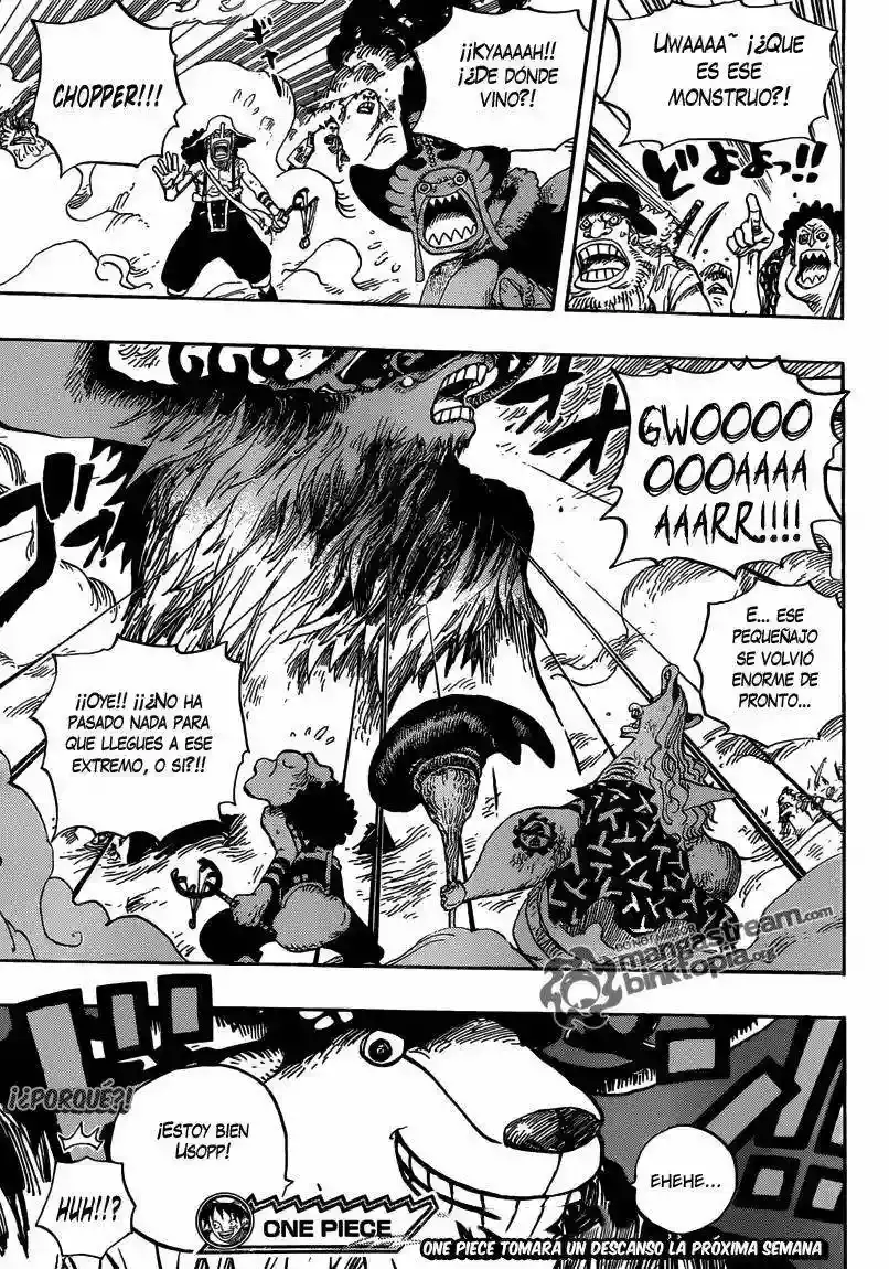 One Piece Capítulo 645 - Página 19 en español
