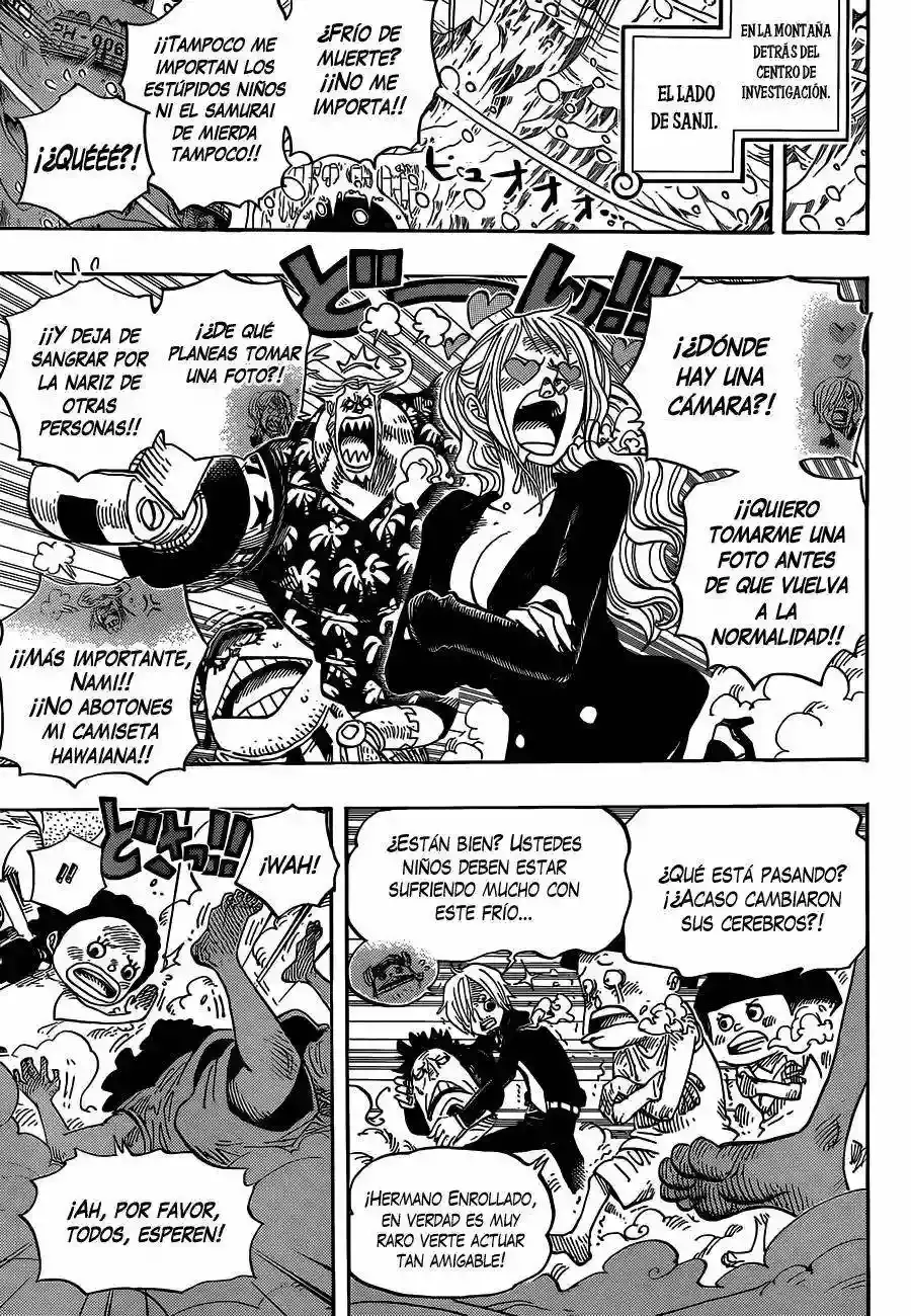 One Piece Capítulo 663 - Página 10 en español