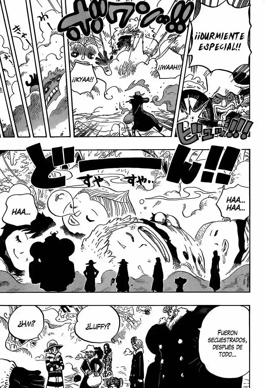 One Piece Capítulo 665 - Página 14 en español