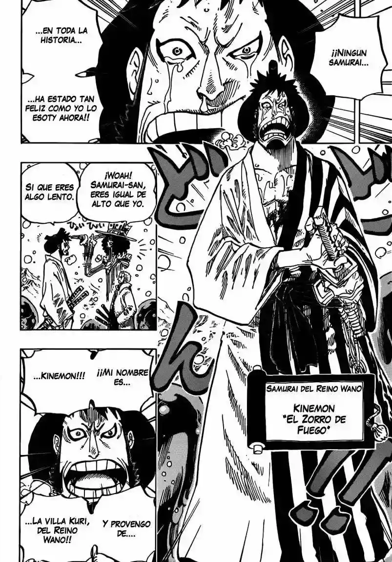 One Piece Capítulo 672 - Página 15 en español