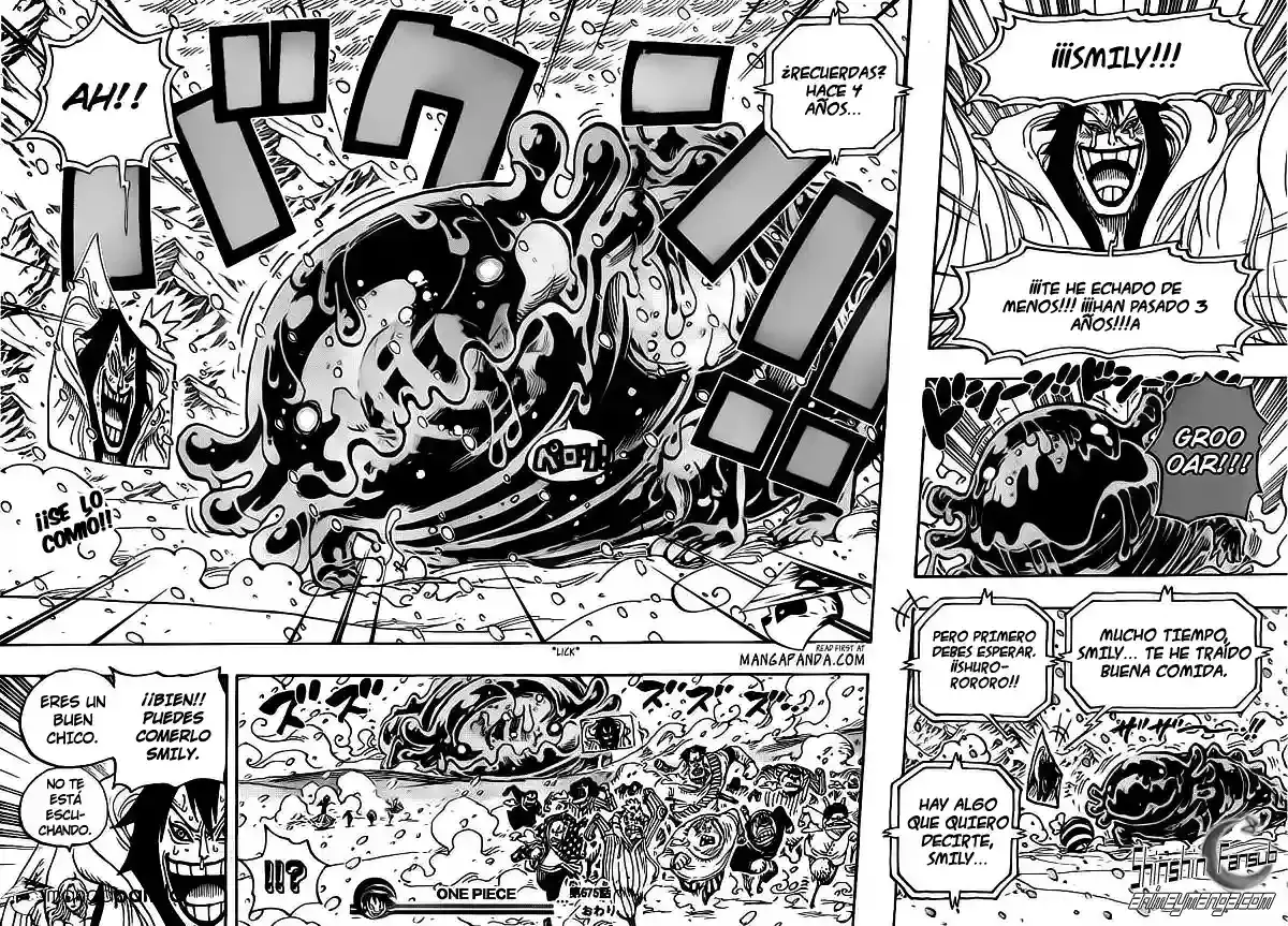 One Piece Capítulo 675 - Página 18 en español